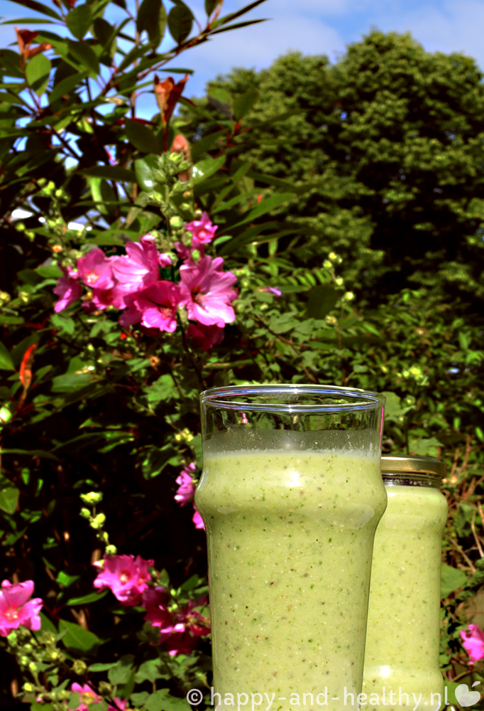 Green Smoothie Happy and healthy Summer Edition